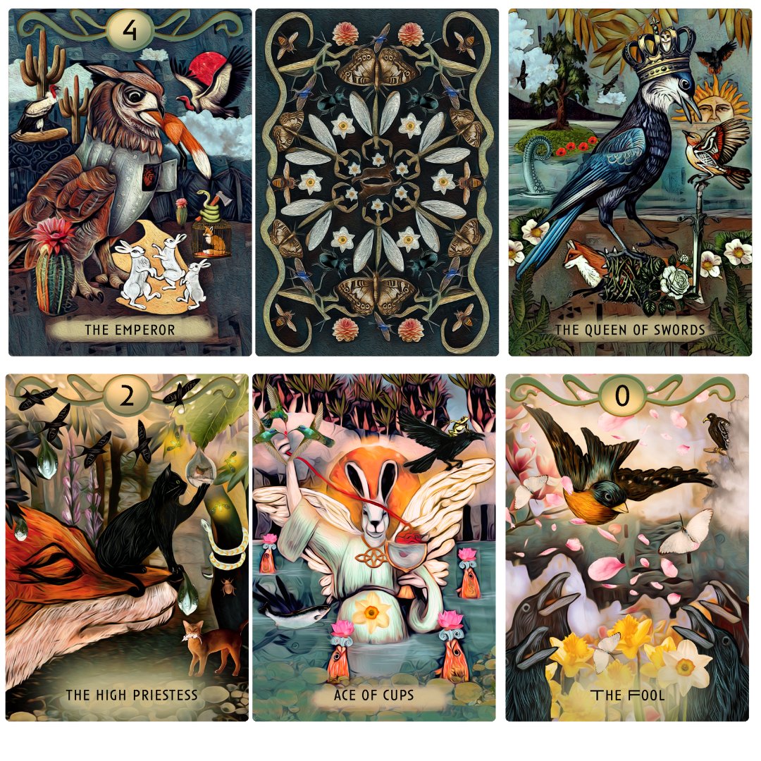 Now Funding! Pre-Order to Reserve Your Deck