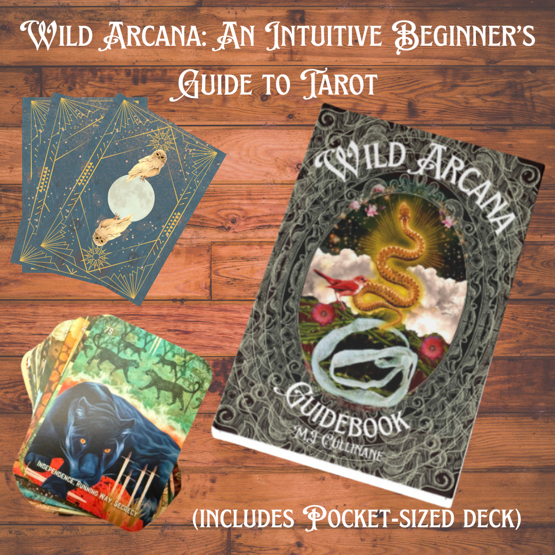 Wild Arcana: An Intuitive Beginner’s Guide to Tarot