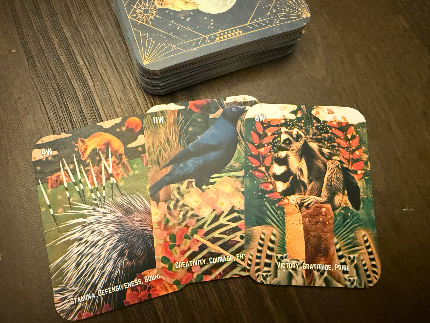 Wild Arcana: An Intuitive Beginner’s Guide to Tarot