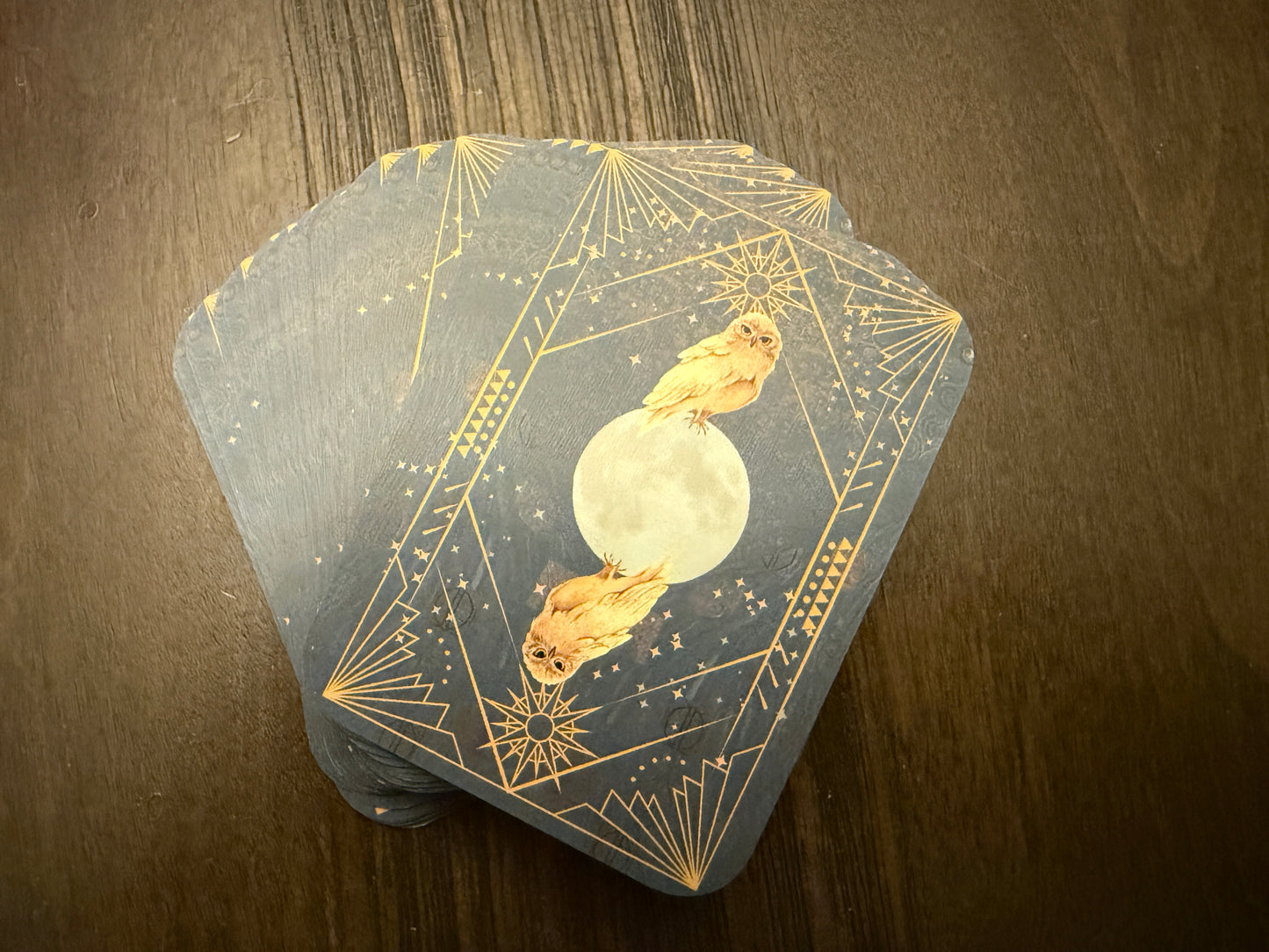 Wild Arcana: An Intuitive Beginner’s Guide to Tarot