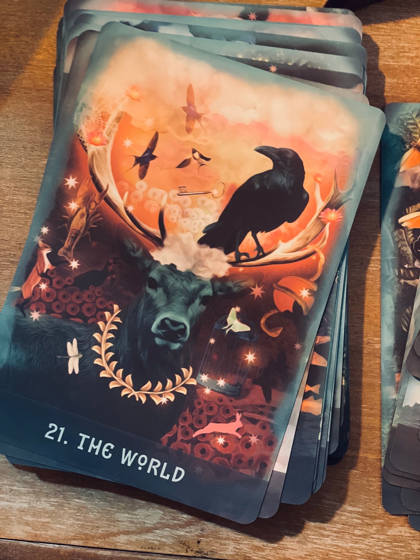 The Raven's Dream Tarot - 2nd printing PREORDER