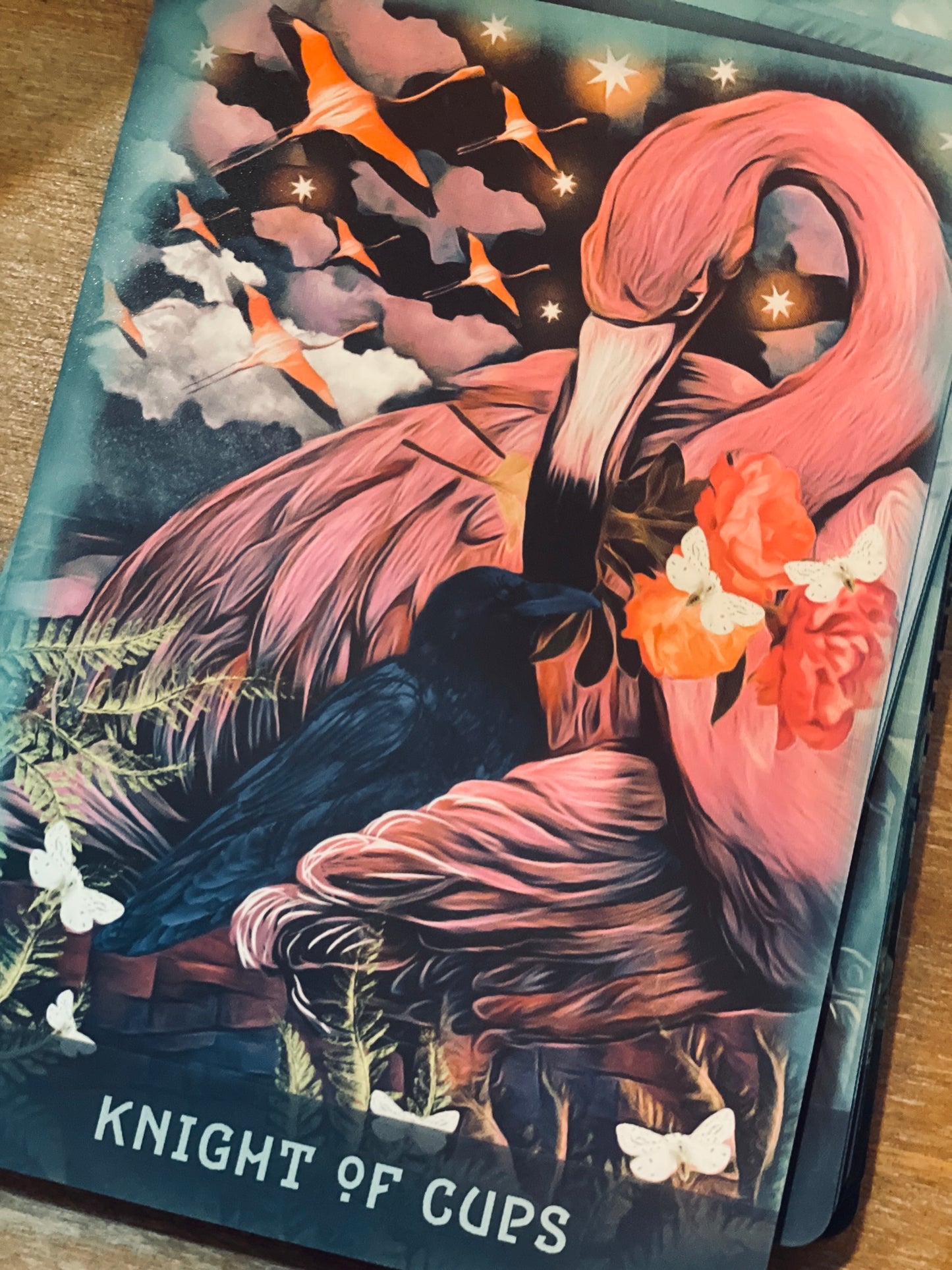 The Raven's Dream Tarot - 2nd printing PREORDER