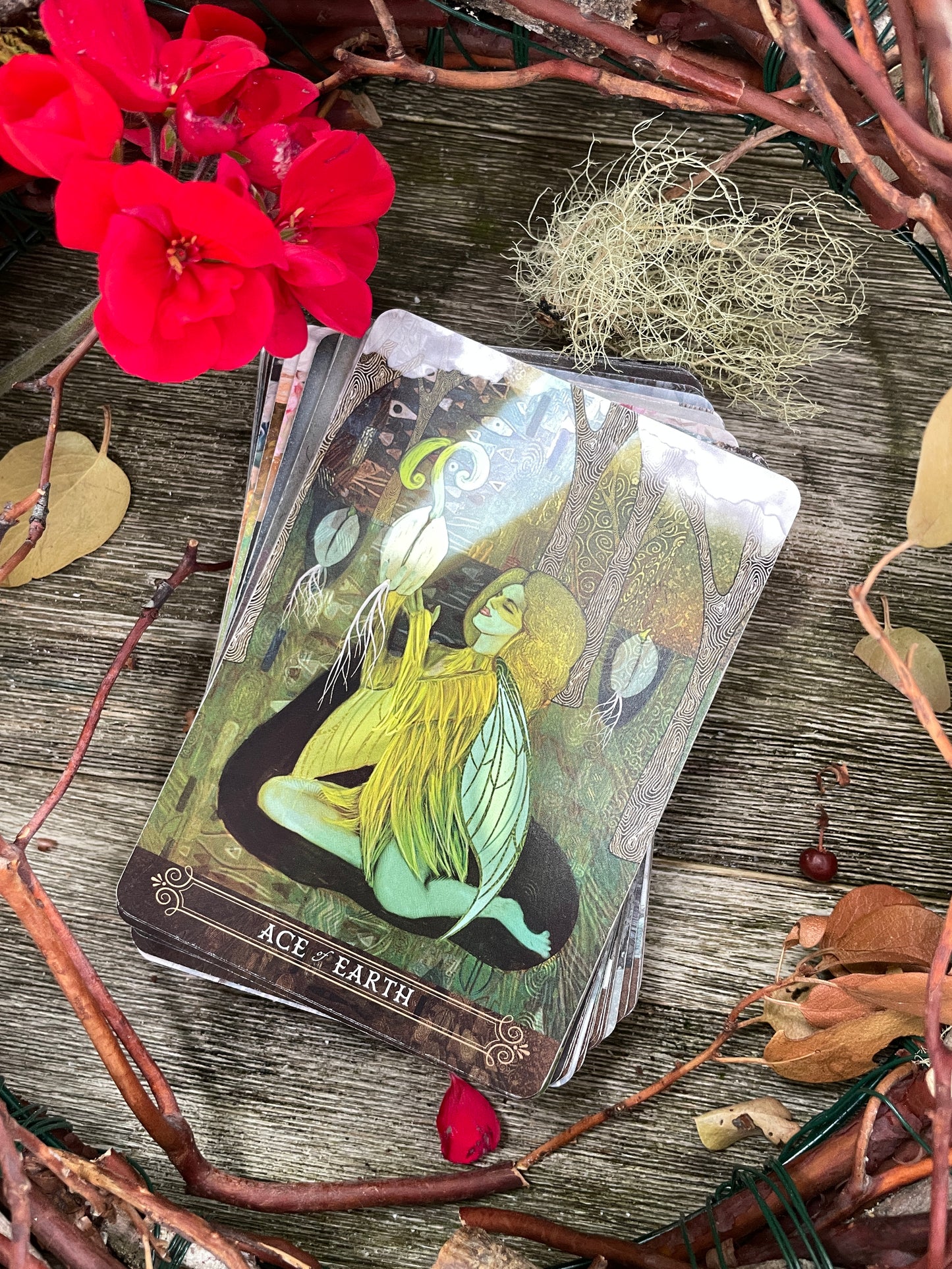 The THIRD Printing of The Enchanted Förhäxa Tarot!