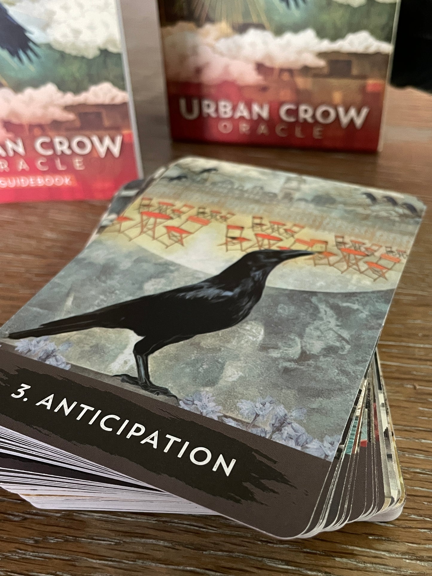 SIGNED -URBAN CROW ORACLE- PUBLISHED BY HAY HOUSE